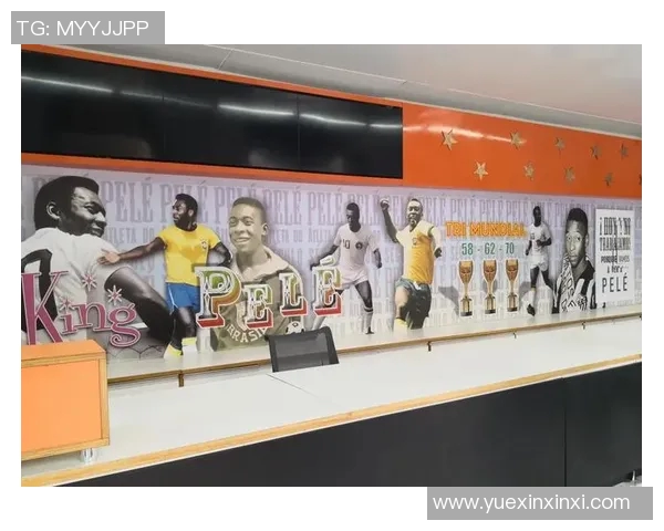 足球明星的兄弟俩如何在绿茵场上书写传奇人生与家庭情感的交织